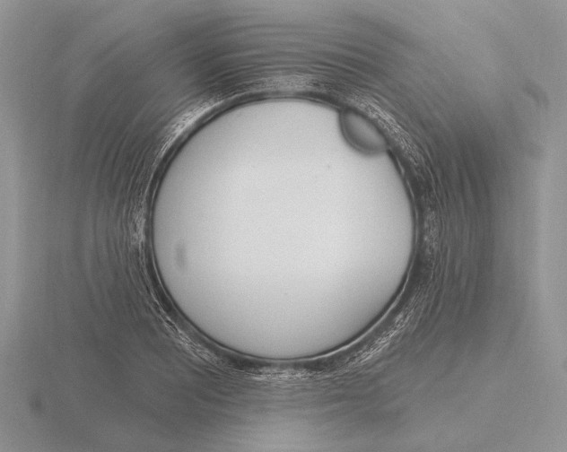 X0000115771081200912111101