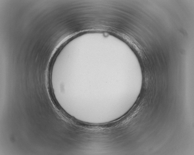 X0000115771085200912111101