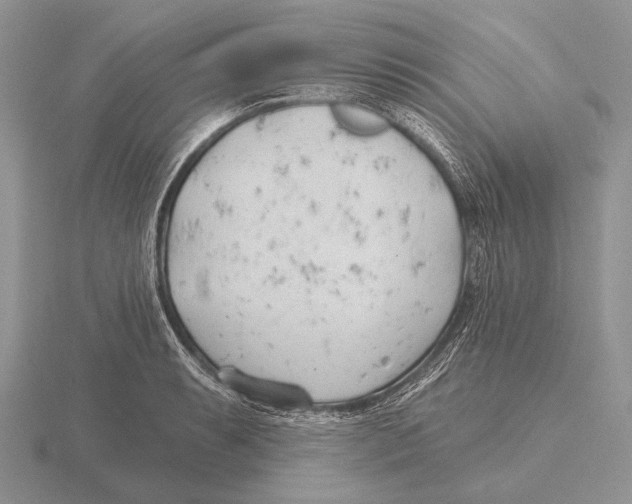 X0000115771087200912111101