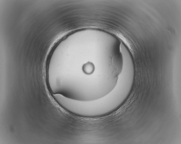 X0000115771088200912111101