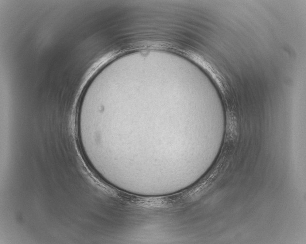 X0000115771090200912111101