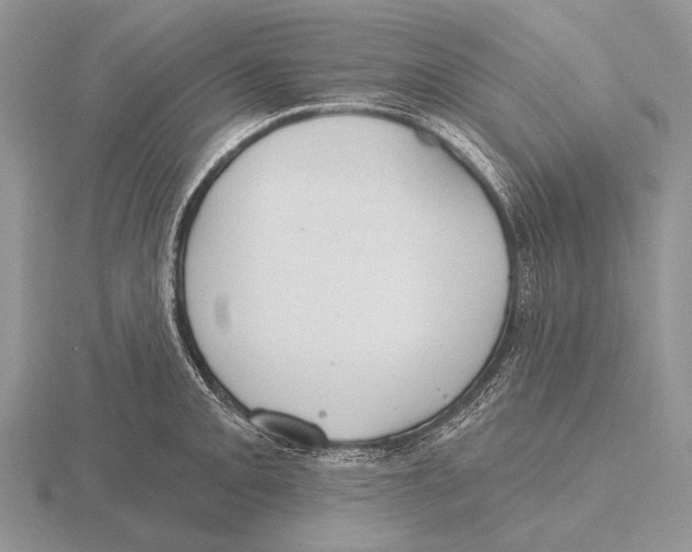 X0000115771093200912111101