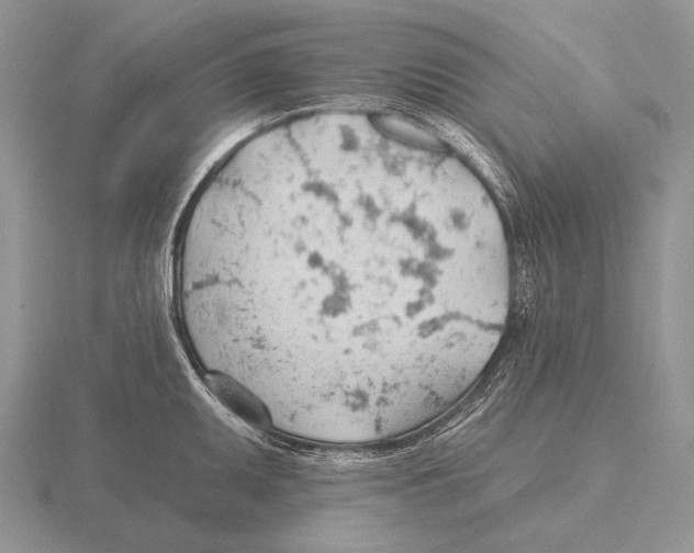 X0000115771095200912111101