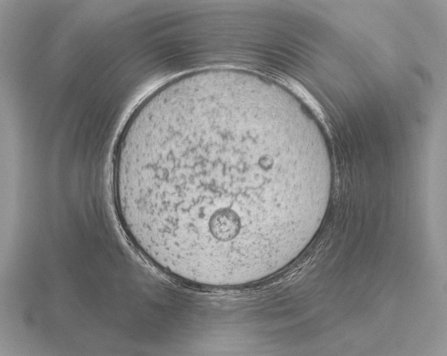 X0000115771096200912111101