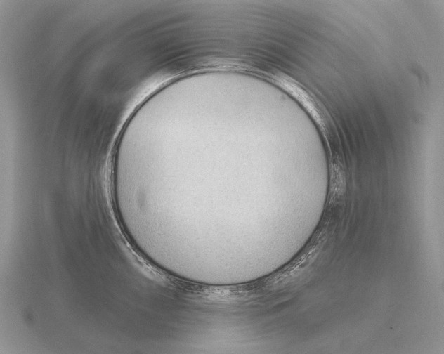 X0000115771098200912111101