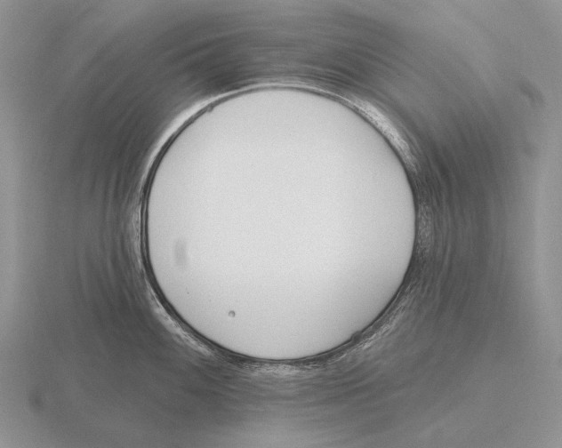 X0000115771100200912111101