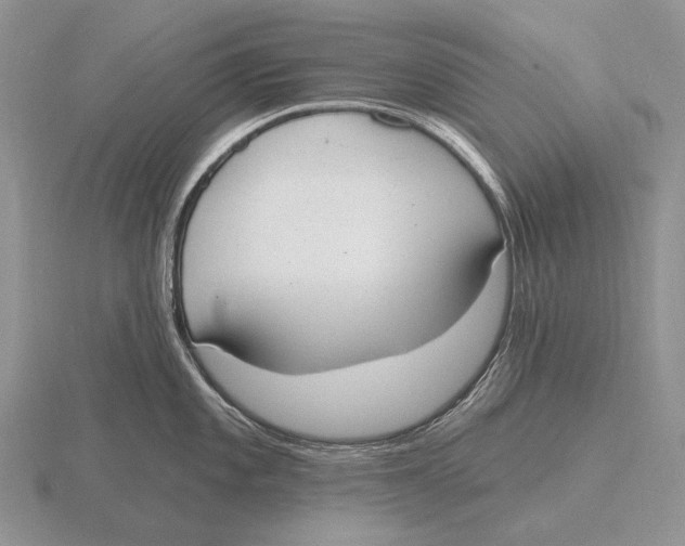 X0000115771101200912111101