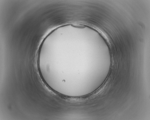 X0000115771102200912111101