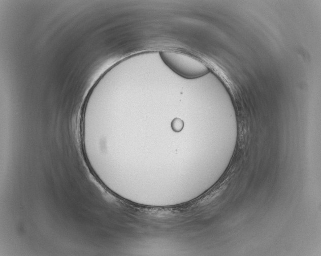 X0000115771103200912111101