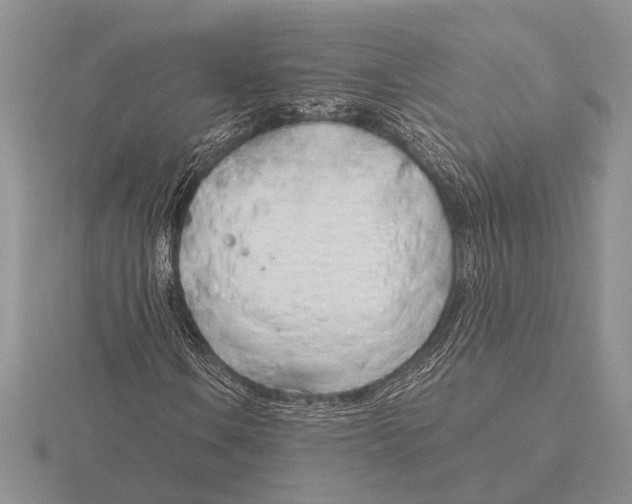 X0000115771106200912111100