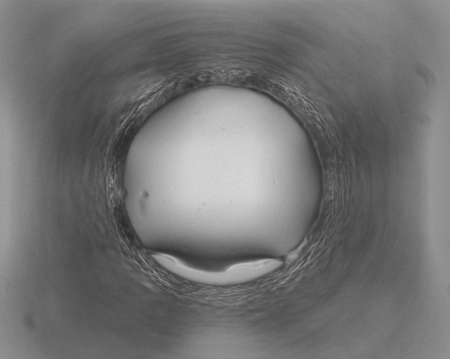 X0000115771109200912111100