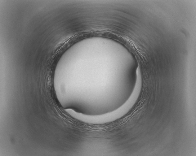 X0000115771110200912111101