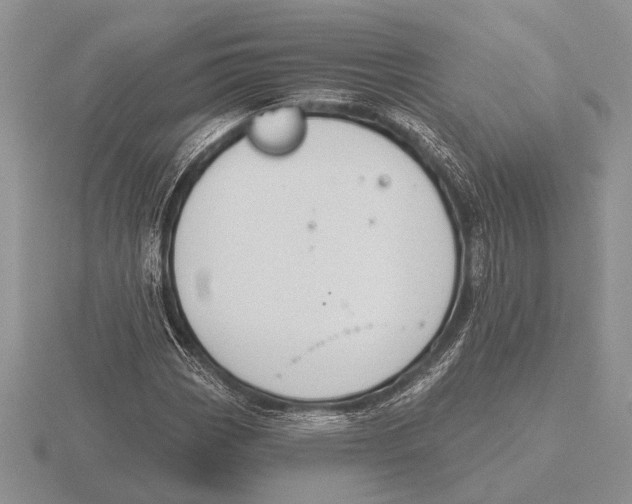 X0000115771113200912111101