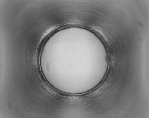 X0000115771114200912111101