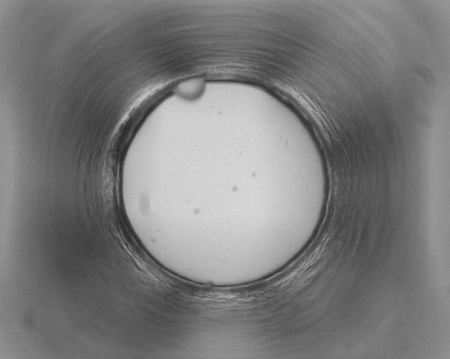 X0000115771115200912111101