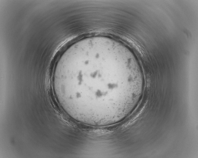 X0000115771117200912111101