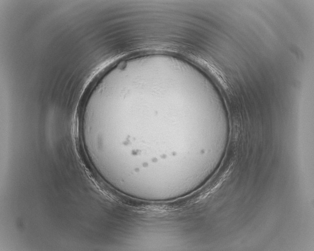 X0000115771125200912111101