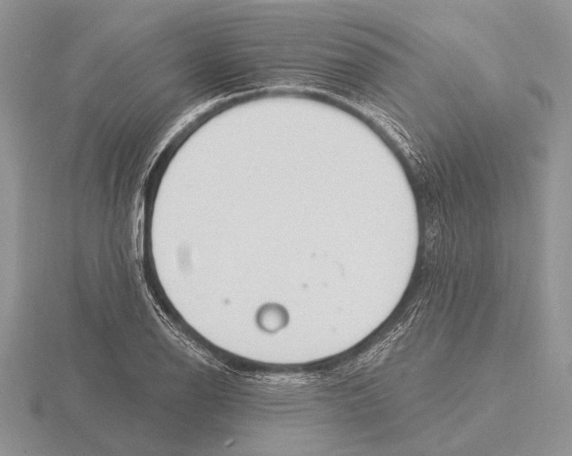 X0000115771126200912111101