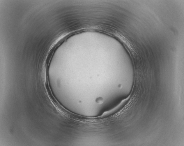 X0000115771127200912111101