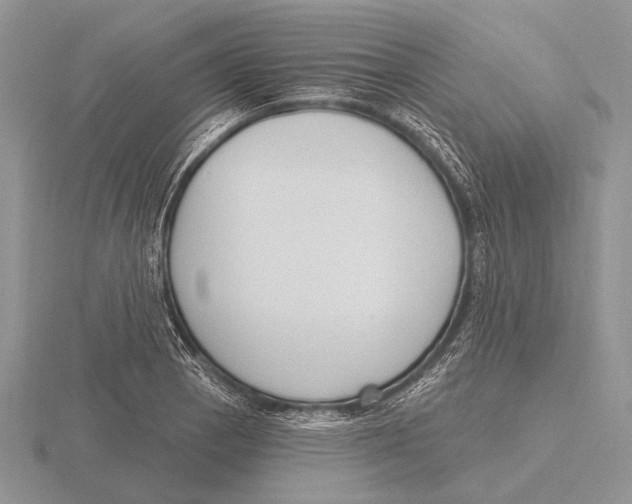 X0000115771129200912111101