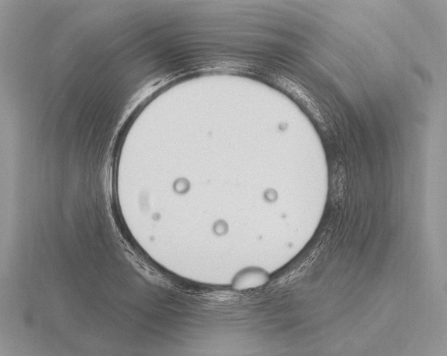 X0000115771130200912111101