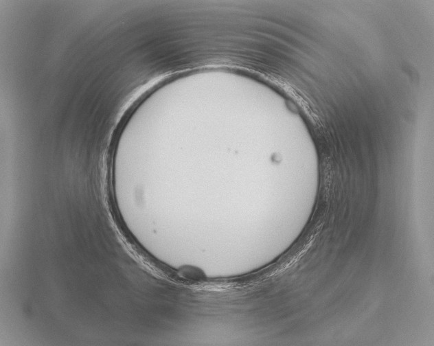 X0000115771134200912111101