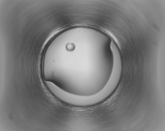 X0000115771138200912111101