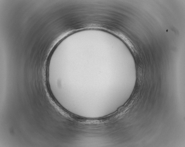 X0000115771142200912111101