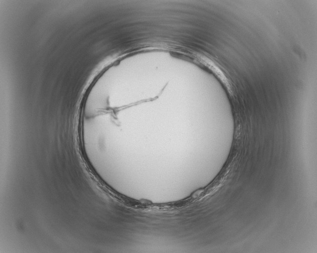 X0000115771146200912111101