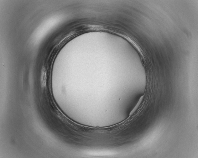 X0000115771151200912111101