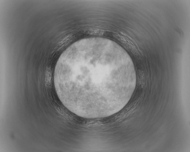 X0000115771154200912111100