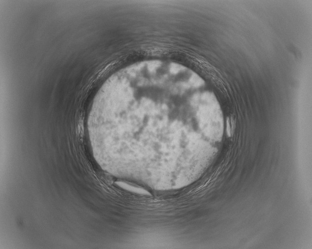 X0000115771155200912111100