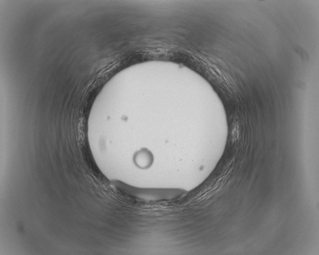 X0000115771156200912111100