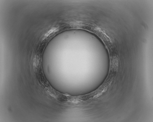 X0000115771157200912111100