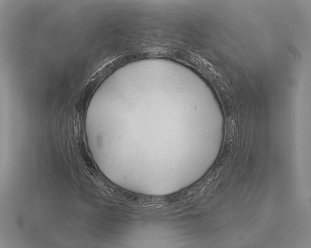 X0000115771158200912111100