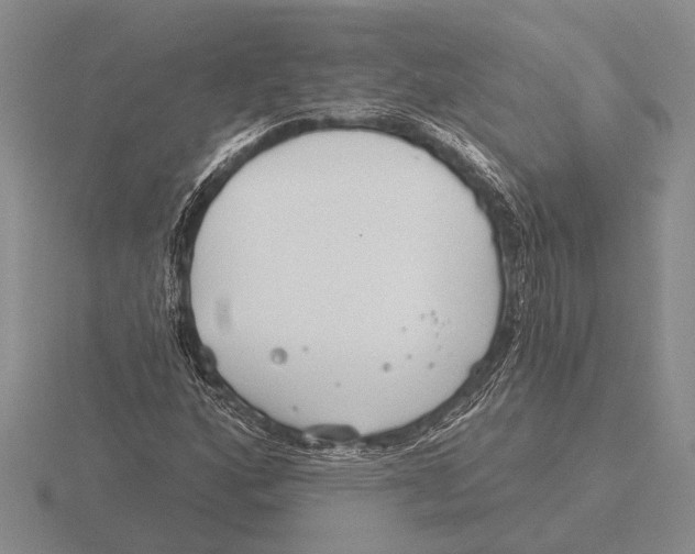 X0000115771160200912111100