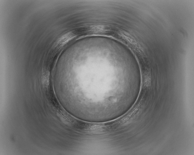 X0000115771161200912111100