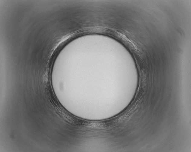 X0000115771166200912111100