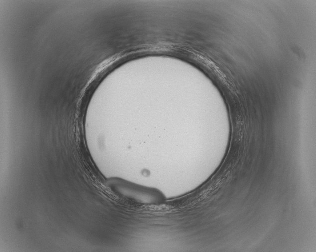 X0000115771168200912111100