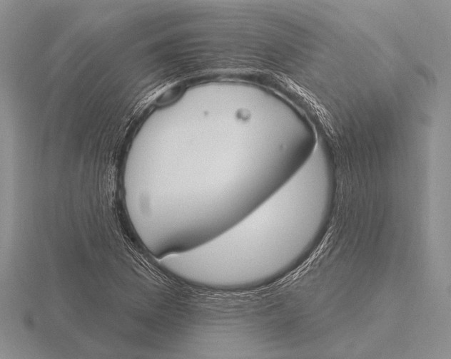 X0000115771169200912111100