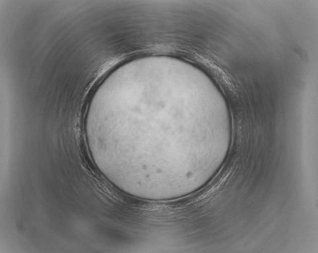 X0000115771170200912111100