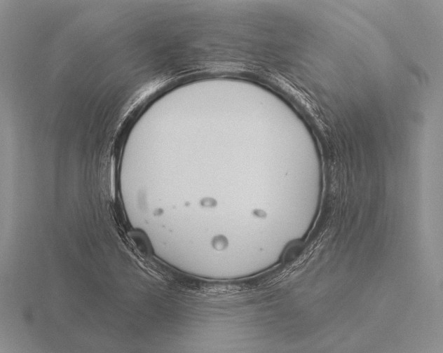 X0000115771171200912111100