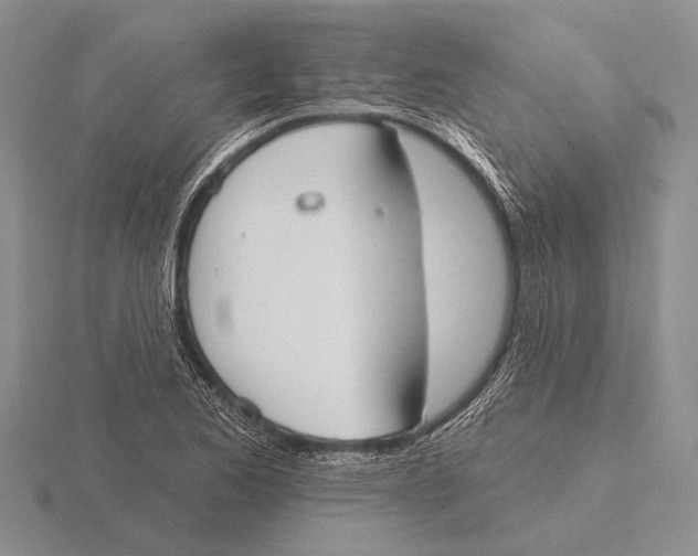 X0000115771173200912111100