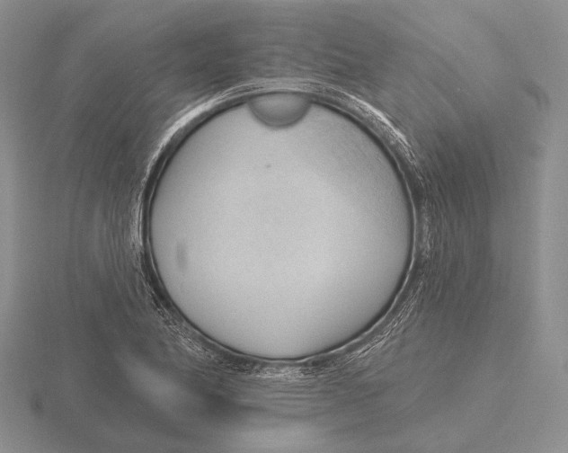 X0000115771174200912111100