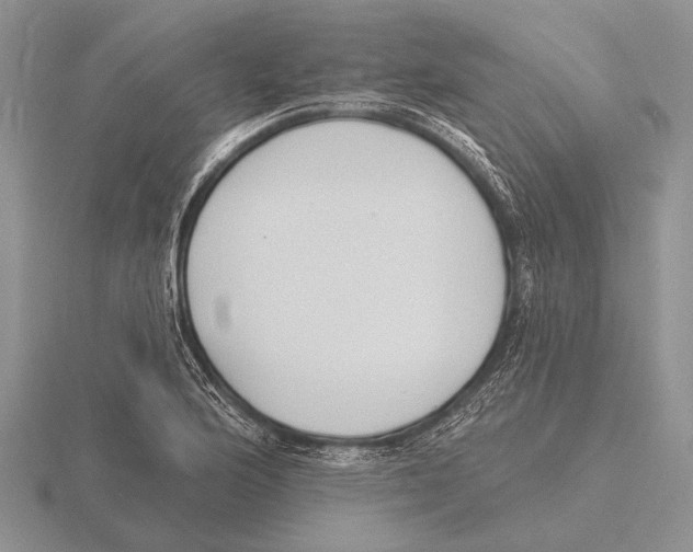 X0000115771176200912111100