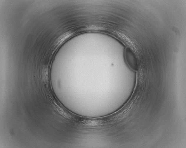 X0000115771177200912111100