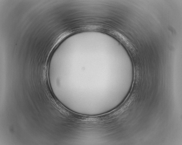 X0000115771178200912111100