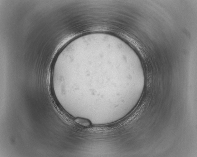 X0000115771179200912111100