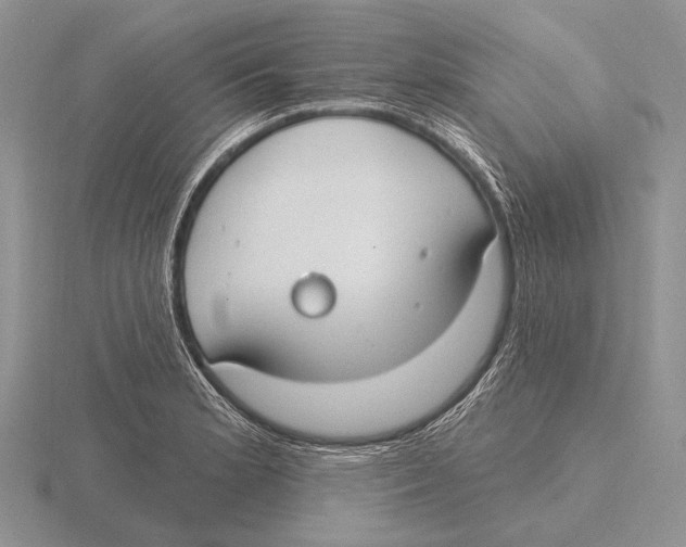 X0000115771181200912111100