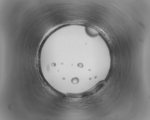 X0000115771184200912111100